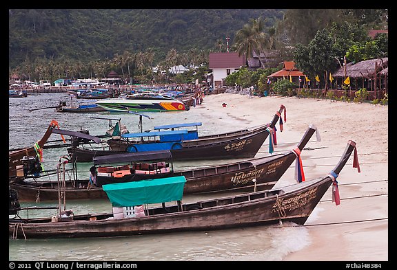 Long tail boats Tonsai beach and village, Ko Phi Phi. Krabi Province, Thailand (color)