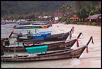 Long tail boats Tonsai beach and village, Ko Phi Phi. Krabi Province, Thailand