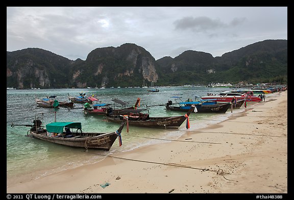 Longtail boats, Tonsai beach, Ko Phi Phi. Krabi Province, Thailand