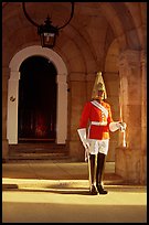 Horseguard standing in front of door. London, England, United Kingdom ( color)