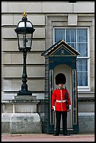 Guard and guerite, Buckingham Palace. London, England, United Kingdom (color)