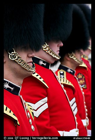 Guards with tall bearskin hat and red tunic standing in a row. London, England, United Kingdom (color)