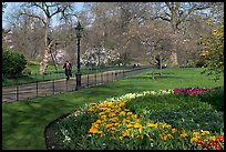 Businessman walking in  Saint James Park amongst flowers. London, England, United Kingdom ( color)