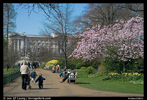 Pathway in Saint James Park in spring with Buckingham Palace in the background. London, England, United Kingdom (color)