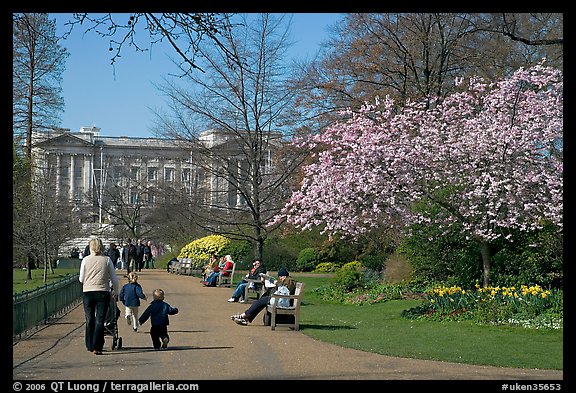 Pathway in Saint James Park in spring with Buckingham Palace in the background. London, England, United Kingdom