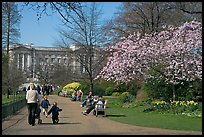 Pathway in Saint James Park in spring with Buckingham Palace in the background. London, England, United Kingdom ( color)