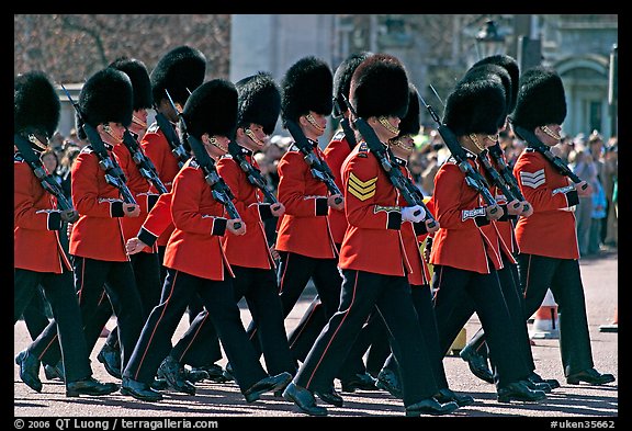 Guards with tall bearskin hats  marching near Buckingham Palace. London, England, United Kingdom