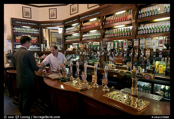 Counter of the pub Westmister Arms. London, England, United Kingdom (color)