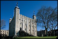 White Tower and tree, the Tower of London. London, England, United Kingdom ( color)