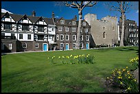 Tower Green, Queen's house, and Beauchamp Tower, Tower of London. London, England, United Kingdom ( color)