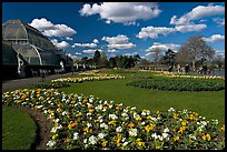 Flower bed and Palm House, afternoon. Kew Royal Botanical Gardens,  London, England, United Kingdom