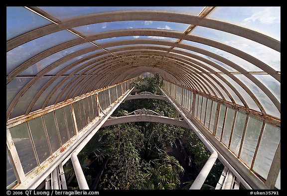 Wrought iron roof of the Palm House. Kew Royal Botanical Gardens,  London, England, United Kingdom (color)