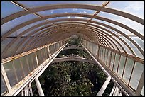 Wrought iron roof of the Palm House. Kew Royal Botanical Gardens,  London, England, United Kingdom