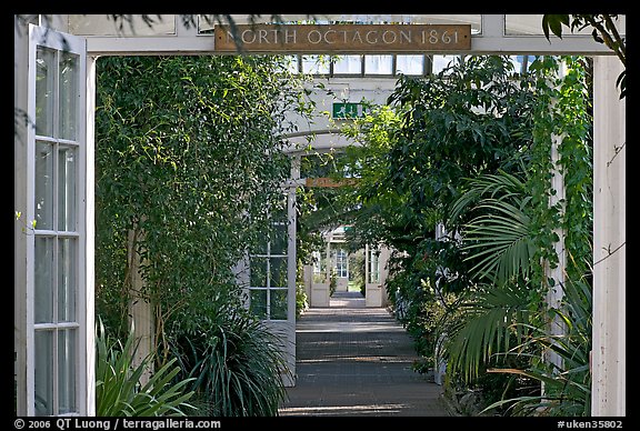 Long central path in the Temperate House. Kew Royal Botanical Gardens,  London, England, United Kingdom