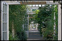 Long central path in the Temperate House. Kew Royal Botanical Gardens,  London, England, United Kingdom (color)