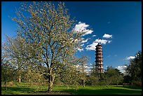 Great Pagoda and tree in bloom. Kew Royal Botanical Gardens,  London, England, United Kingdom (color)