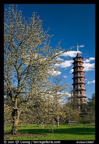 Great Pagoda by William Chambers. Kew Royal Botanical Gardens,  London, England, United Kingdom