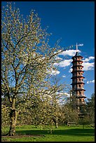 Great Pagoda by William Chambers. Kew Royal Botanical Gardens,  London, England, United Kingdom (color)