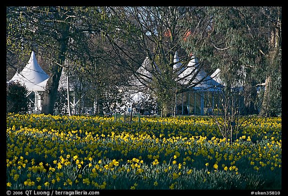 Flower bed and White Peaks. Kew Royal Botanical Gardens,  London, England, United Kingdom (color)