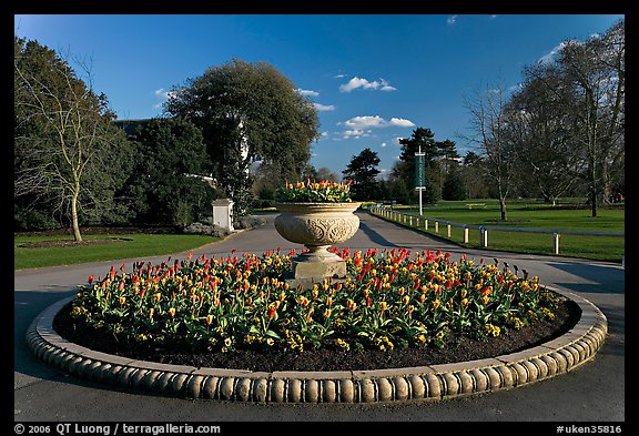 Flower circle. Kew Royal Botanical Gardens,  London, England, United Kingdom (color)