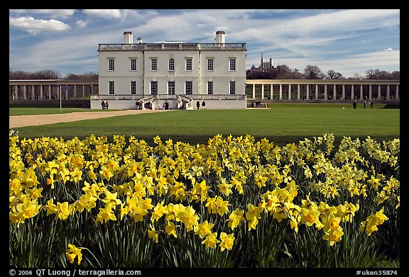 Queen's House and colonnades of the Royal Maritime Museum, with Daffodils in foreground. Greenwich, London, England, United Kingdom