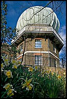Royal Greenwich Observatory and daffodils. Greenwich, London, England, United Kingdom (color)