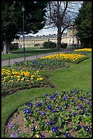 Flowers in park, with Royal Crescent in the background. Bath, Somerset, England, United Kingdom