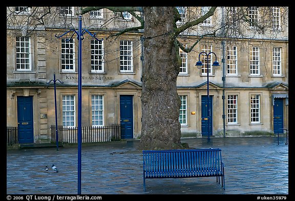 Blue metal bench and tree, Kingsmead Square. Bath, Somerset, England, United Kingdom (color)