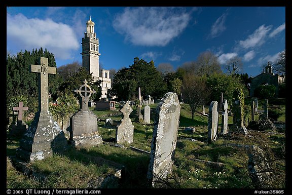 Stone tombs and grasses below Beckford tower, morning. Bath, Somerset, England, United Kingdom