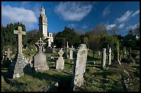 Stone tombs and grasses below Beckford tower, morning. Bath, Somerset, England, United Kingdom (color)