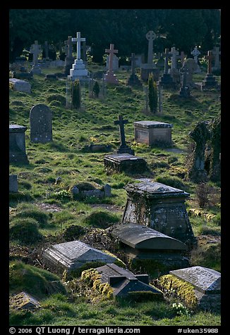 Tombs and grasses. Bath, Somerset, England, United Kingdom