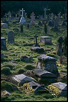 Tombs and grasses. Bath, Somerset, England, United Kingdom (color)