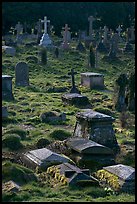 Tombs and grasses. Bath, Somerset, England, United Kingdom ( color)