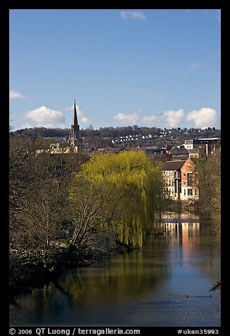 River Avon, willows, and church spire. Bath, Somerset, England, United Kingdom