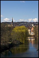 River Avon, willows, and church spire. Bath, Somerset, England, United Kingdom (color)