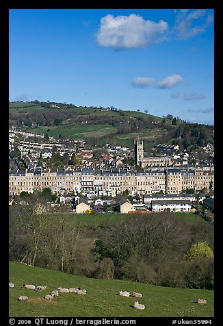 Sheep and distant view of town. Bath, Somerset, England, United Kingdom (color)