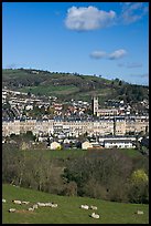 Sheep and distant view of town. Bath, Somerset, England, United Kingdom ( color)