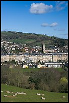 Sheep and distant view of town. Bath, Somerset, England, United Kingdom (color)