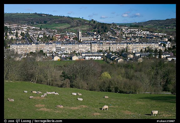 Sheep on hill, with town below. Bath, Somerset, England, United Kingdom