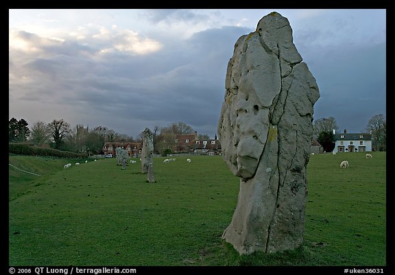 Circle of standing stones in pasture, Avebury, Wiltshire. England, United Kingdom (color)