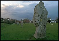 Circle of standing stones in pasture, Avebury, Wiltshire. England, United Kingdom (color)