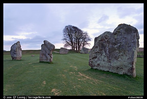 Megaliths and tree, Avebury, Wiltshire. England, United Kingdom