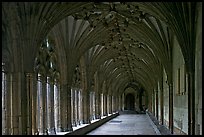 Great Cloister gallery, Canterbury Cathedral. Canterbury,  Kent, England, United Kingdom