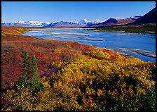 Susitna River and fall colors on the tundra, Denali Highway. Alaska, USA