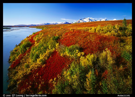 Susitna River and autumn colors on the tundra. Alaska, USA