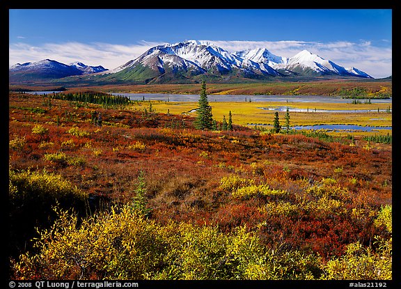 Tundra and snowy mountains. Alaska, USA (color)