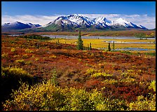 Tundra and snowy mountains. Alaska, USA