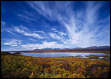 Clouds, tundra in fall color, and lake along Denali Highway. Alaska, USA (color)