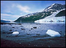 Barry arm and Glacier from Black Sand Beach. Prince William Sound, Alaska, USA ( color)