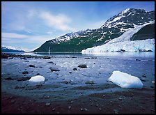 Barry arm and Glacier from Black Sand Beach. Prince William Sound, Alaska, USA